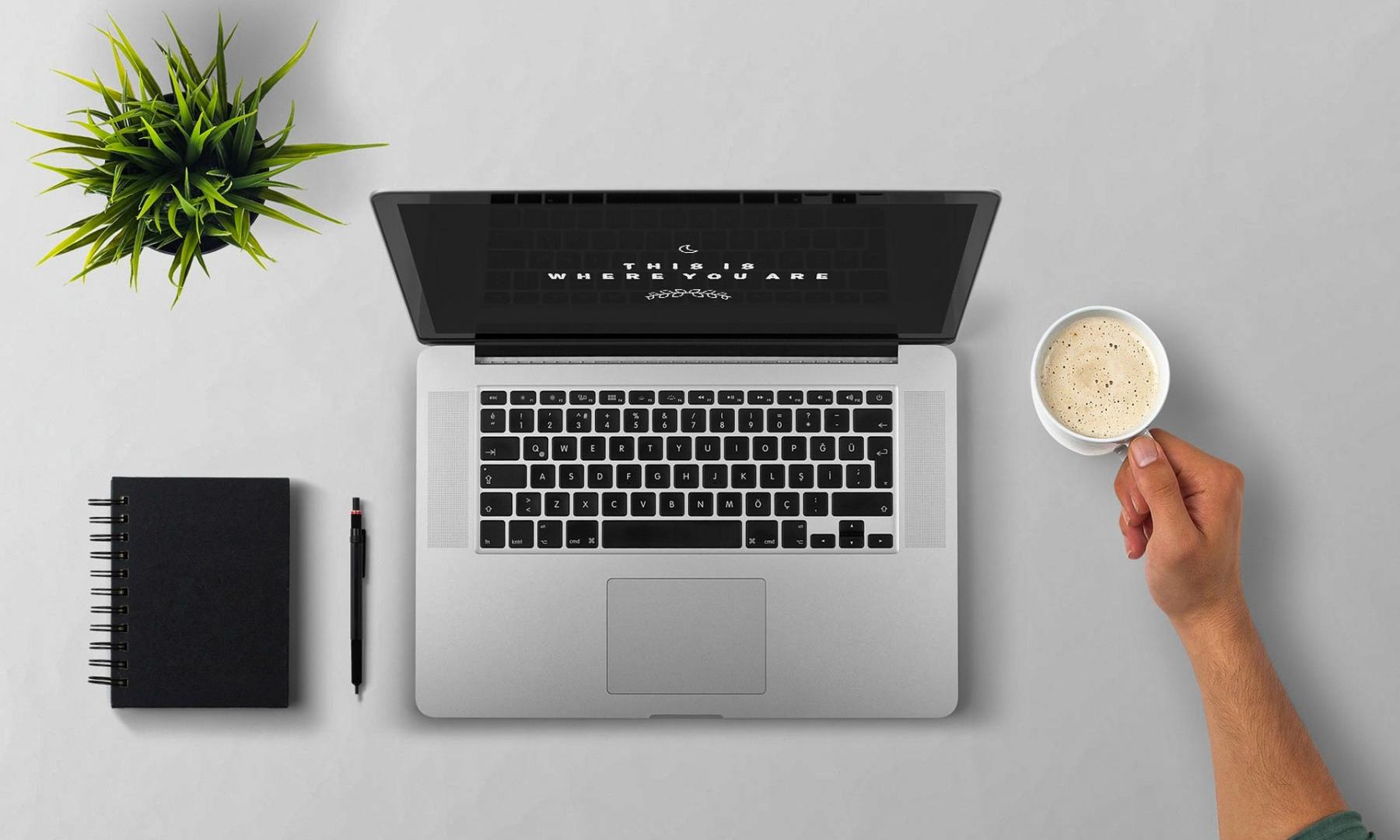 Case Studies #2 Lorem ipsum dolor sit amet